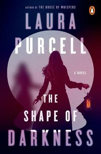 Cover image for The Shape of Darkness: A Novel