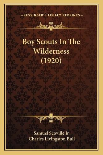 Cover image for Boy Scouts in the Wilderness (1920)