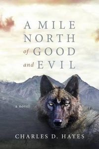 Cover image for A Mile North of Good and Evil