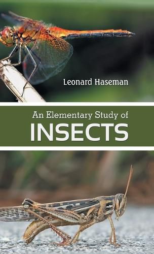 Cover image for An Elementary Study of insects