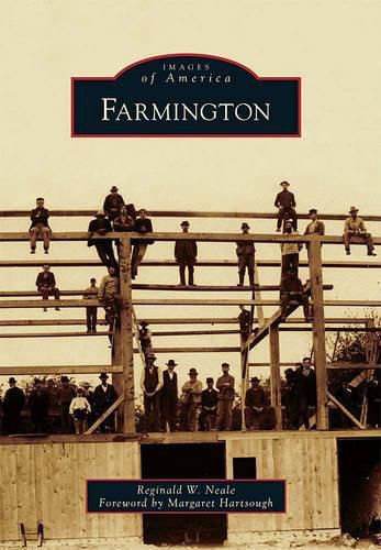 Cover image for Farmington