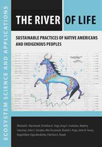 Cover image for The River of Life: Sustainable Practices of Native Americans and Indigenous Peoples