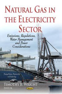 Cover image for Natural Gas in the Electricity Sector: Emissions, Regulations, Water Management & Power Considerations