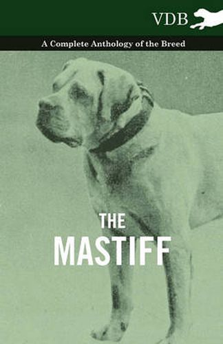 Cover image for The Mastiff - A Complete Anthology of the Breed