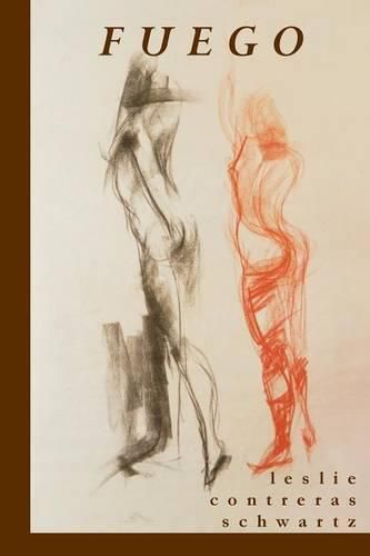 Cover image for Fuego