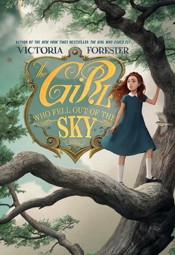 Cover image for The Girl Who Fell Out of the Sky