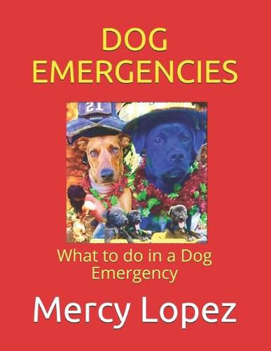 Cover image for Dog Emergencies: What to do in a Dog Emergency