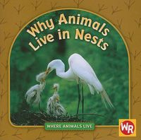 Cover image for Why Animals Live in Nests