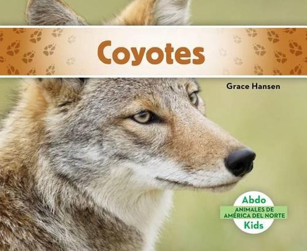 Cover image for Coyotes / Coyotes