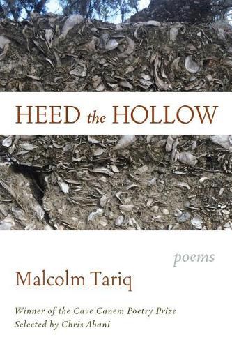 Cover image for Heed the Hollow: Poems