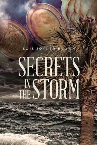 Cover image for Secrets in the Storm