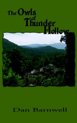 Cover image for The Owls of Thunder Hollow