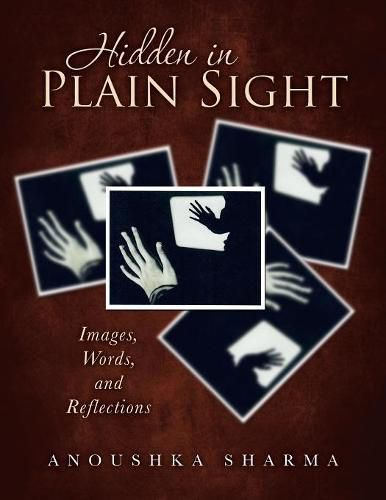 Cover image for Hidden in Plain Sight: Images, Words, and Reflections