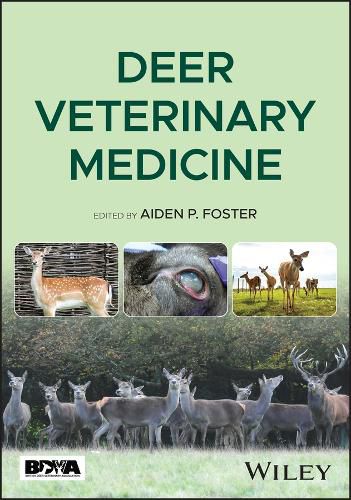 Cover image for Deer Veterinary Medicine