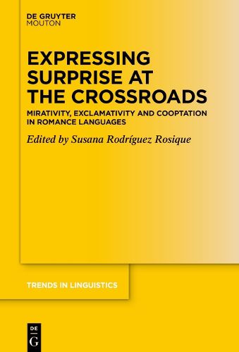 Cover image for Expressing Surprise at the Crossroads