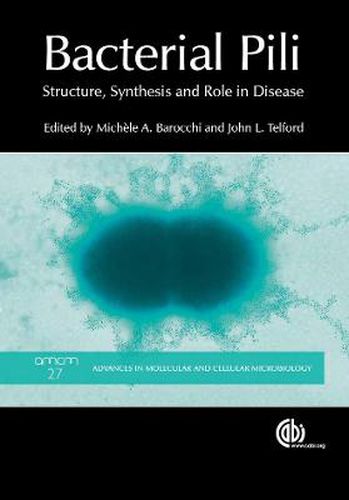 Bacterial Pili: Structure, Synthesis and Role in Disease