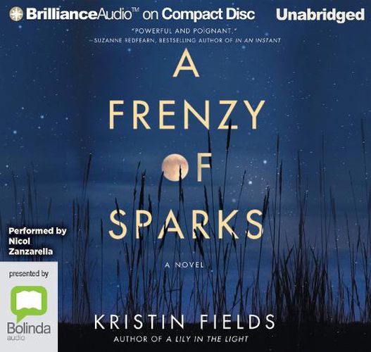 Cover image for A Frenzy Of Sparks