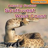 Cover image for Amazing Snakes of the Southwest and West Coast