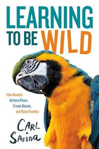Cover image for Learning to Be Wild (a Young Reader's Adaptation): How Animals Achieve Peace, Create Beauty, and Raise Families