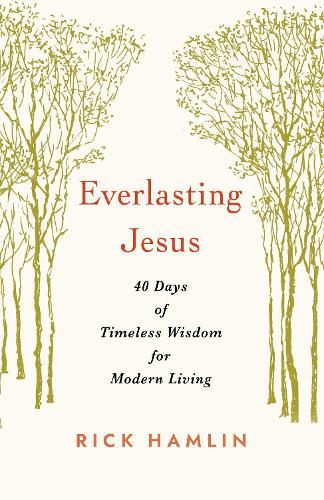 Cover image for Everlasting Jesus