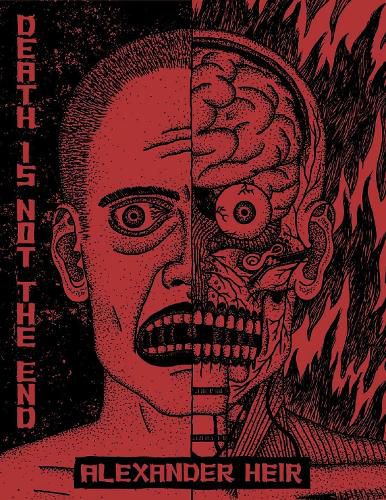 Cover image for Death Is Not The End: The Work of Alexander Heir