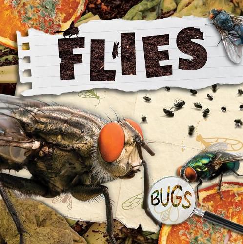 Cover image for Flies