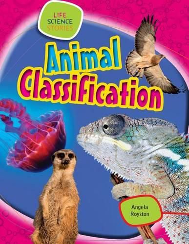 Cover image for Animal Classification