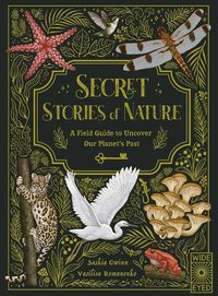 Cover image for Secret Stories of Nature