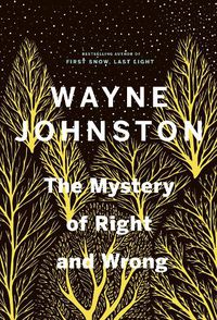 Cover image for The Mystery of Right and Wrong