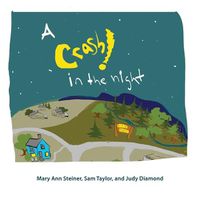 Cover image for A Crash in the Night