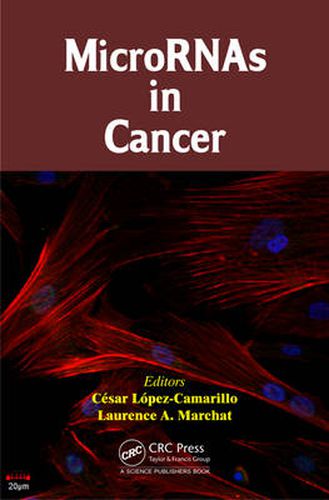 Cover image for MicroRNAs in Cancer