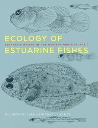 Cover image for Ecology of Estuarine Fishes: Temperate Waters of the Western North Atlantic