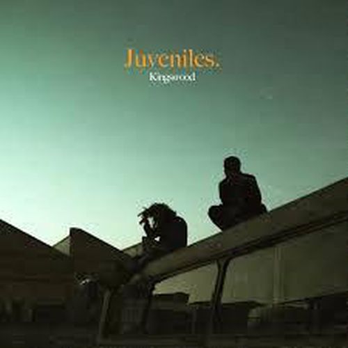 Juveniles *** Vinyl