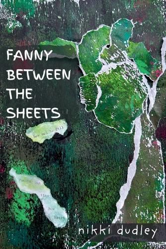 Cover image for Fanny Between The Sheets