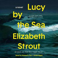 Cover image for Lucy by the Sea: A Novel (Unabridged)