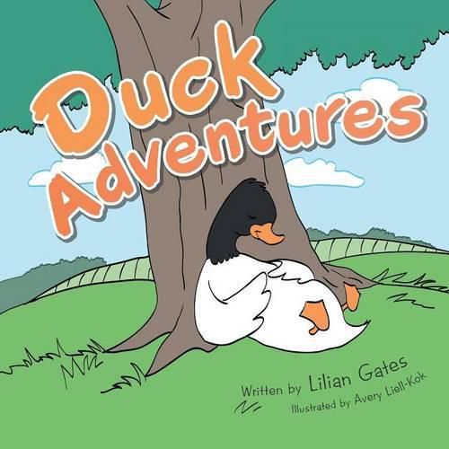 Cover image for Duck Adventures