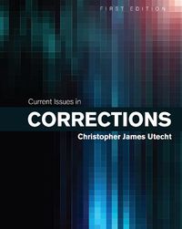 Cover image for Current Issues in Corrections