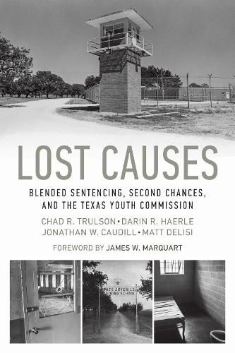 Cover image for Lost Causes: Blended Sentencing, Second Chances, and the Texas Youth Commission