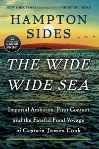 Cover image for The Wide Wide Sea