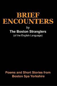 Cover image for Brief Encounters