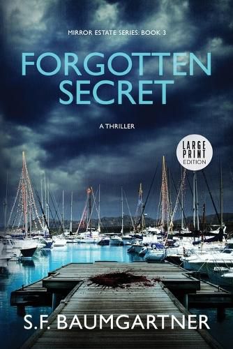 Cover image for Forgotten Secret (Large Print)