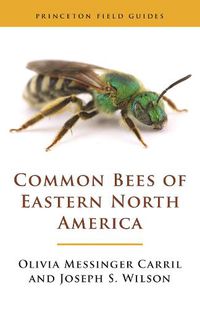 Cover image for Common Bees of Eastern North America