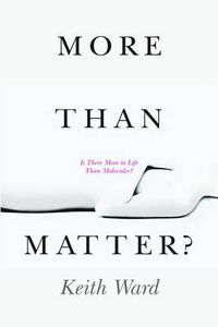 Cover image for More Than Matter?: Is There More to Life Than Molecules?