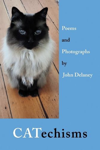 Cover image for CATechisms