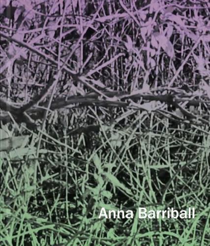 Cover image for Anna Barriball