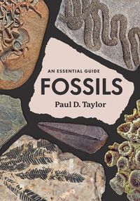 Cover image for Fossils