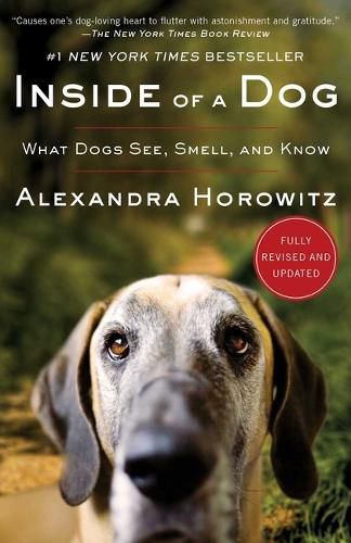 Cover image for Inside of a Dog