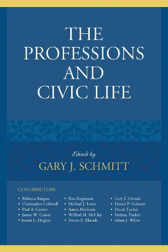 Cover image for The Professions and Civic Life