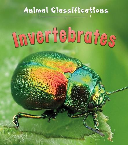 Cover image for Invertebrates