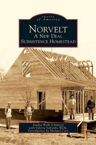 Cover image for Norvelt: A New Deal Subsistence Homestead